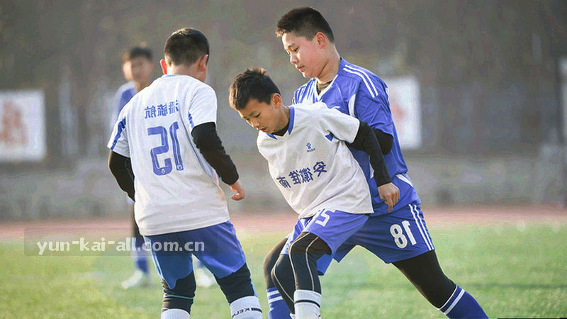 控球率变化折线图数据可视化界面